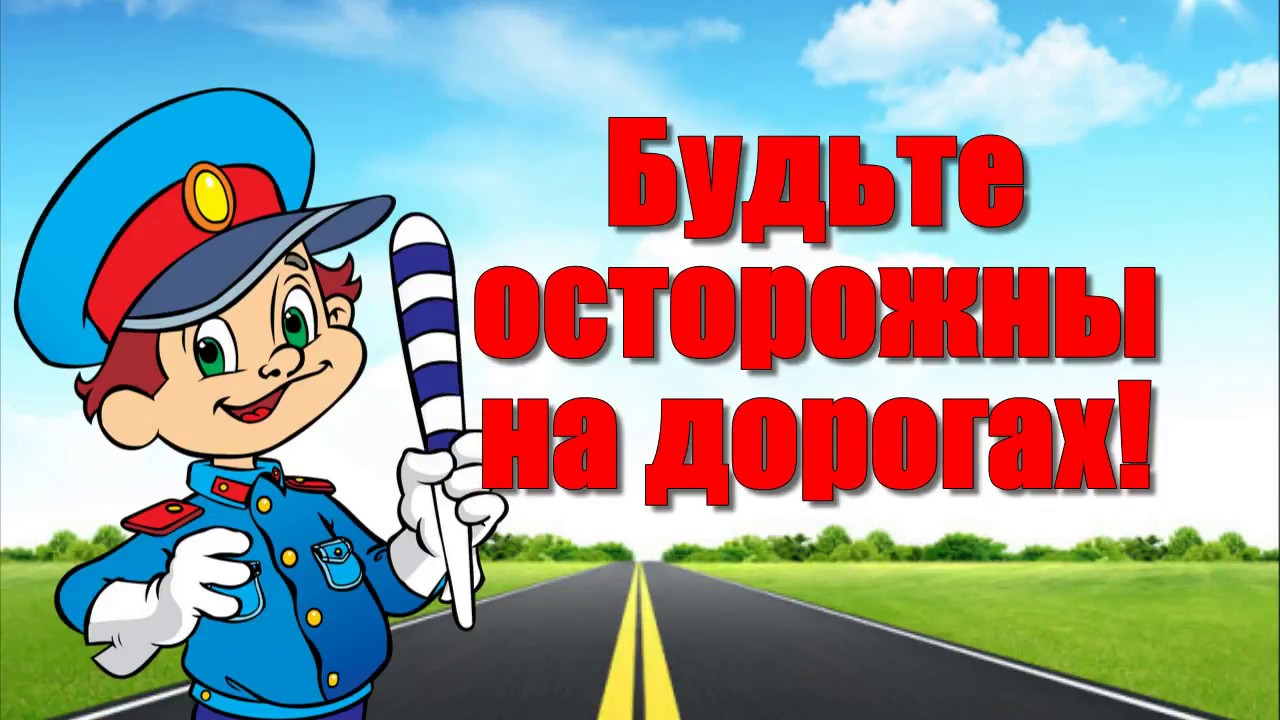 Профилактическое мероприятие «Внимание - дети!».